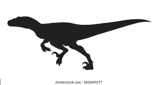 Signo de icono de silueta de Velociraptor, diseño de símbolos de Raptor, aislado en fondo blanco, ilustración vectorial