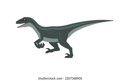 Running Velociraptor. Vector illustration of a running dinosaur velociraptor isolated on white background. Flat design, side view.