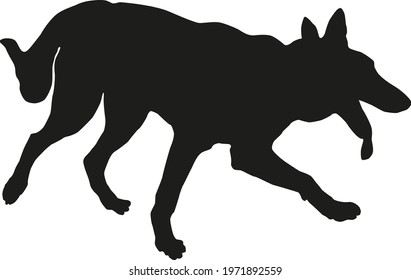 Running west siberian laika puppy. Black dog silhouette. Isolated on a white background. Vector illustration.