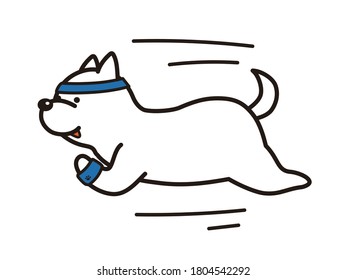 The running white shiba inu.
