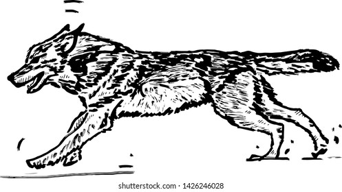 A running wolf. Hand drawn vector illustration. 