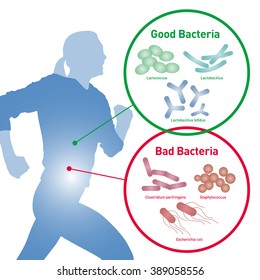 Running Woman Silhouette And Good Bacteria And Bad Bacteria, Enteric Bacteria, Intestinal Flora, Gut Flora, Probiotics, Image Illustration