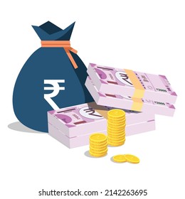 Rupee bundle with rupee bag with coins, economy growth vector illustration