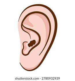 Ruptured eardrum illustration. Eardrum tear. Ear disease