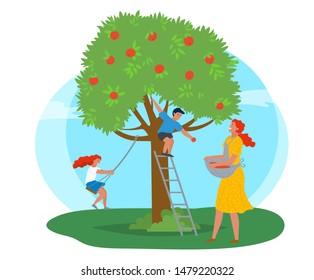 Rural area vector, farming woman with basket picking apples in garden. Playing kids family leisure, daughter and son of mother smiling character working. Pick apples concept. Flat cartoon