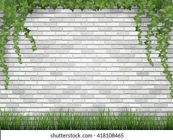 Rural background. Ivy and grass on white brick wall background.