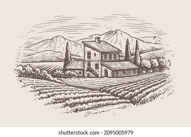 Rural countryside landscape with farm house and vineyard. Vector illustration landscape nature with agrarian fields