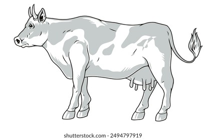 Rural cow detailed sticker monochrome with animal from farm producing dairy products and meat or cheese vector illustration