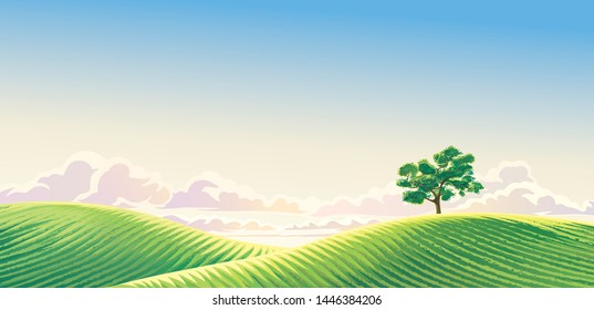 Rural dawn landscape with sown fields and a lonely tree. Vector illustration.