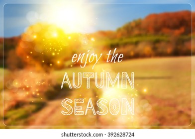 Rural dirt track through the Autumn fields, vector image, caption "Enjoy the Autumn season!"