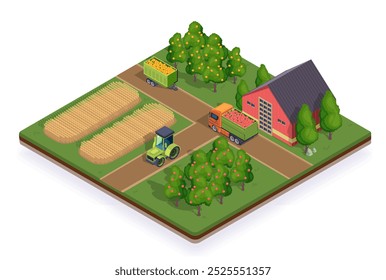 Rural farm isometric. Rural village top view. Field with wheat, trees with apples and barn. Farming and agriculture. Volumetric vector illustration isolated on white background