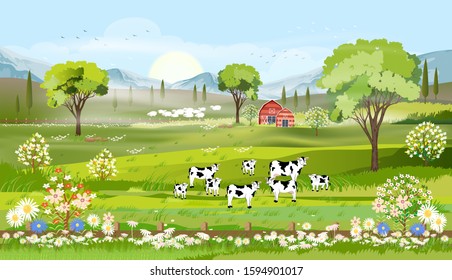 Rural farm landscape with green fields and barn animals cow  blue sky and clouds, Vector cartoon Spring or Summer landscape,Eco village or Organic farming in uk