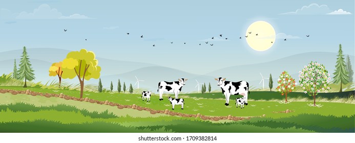 Rural farm landscape with green fields and barn animals cows, windmills on hill with blue sky and clouds, Vector cartoon Spring or Summer landscape, Eco village or Organic farming in uk