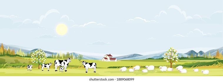 Rural Farm Landscape With Green Fields And Barn Animals Cow, Goats, Sheep And Windmills On Hill With Blue Sky And Clouds, Vector Cartoon Spring Or Summer Landscape,Eco Village Or Organic Farming In Uk