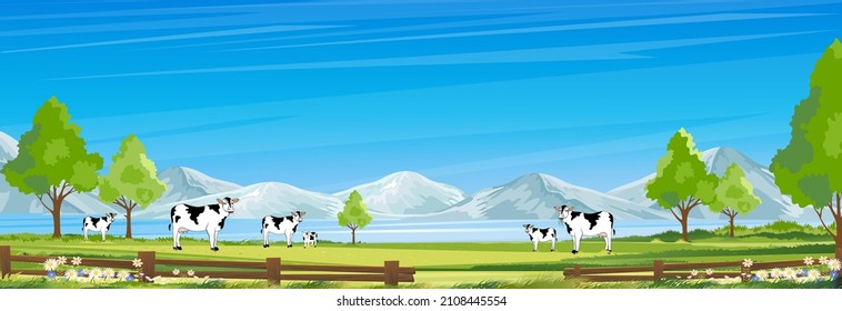 Rural farm landscape with green fields and barn animals cows, hill with blue sky and clouds, Vector cartoon Spring or Summer landscape, Eco village or Organic farming at countryside