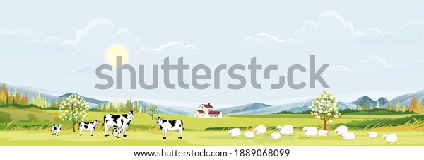 Rural farm landscape with green fields and barn\
animals cow, goats, sheep and windmills on hill with blue sky and\
clouds, Vector cartoon Spring or Summer landscape,Eco village or\
Organic farming in uk