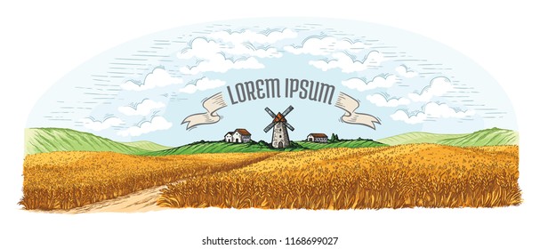 rural field with ripe wheat on background of mill, village and clouds. Color vector illustration