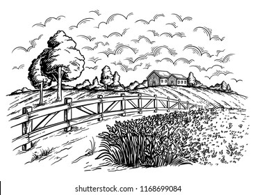 rural field with ripe wheat on background of mill and village, clouds. Color vector illustration