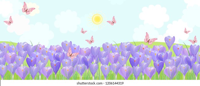 rural fields with flowering crocus and flying butterflies.