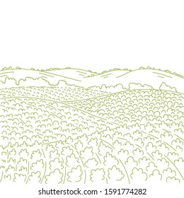 Rural fields landscape. Countryside landscape fields hills. Growing vegetables garden rows. Agriculture farming. Landscape ink vector sketch line drawing. Copy space.