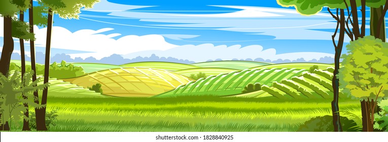 Rural hills. Landscape with trees. Vector. Pasture grass for cows and a place for a vegetable garden and farm. Meadows and trees. Horizon. Beautiful view. Summer.