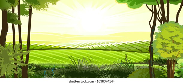 Rural hills. Landscape with trees. Vector. Pasture grass for cows and a place for a vegetable garden and farm. Meadows and trees. Horizon. Beautiful view. Summer.