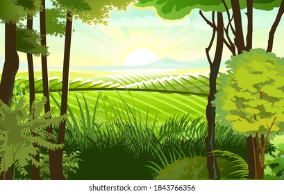 Rural hills. Landscape with trees. Vector. Pasture grass for cows and a place for a vegetable garden and farm. Meadows and trees. Horizon. Beautiful view. Summer.