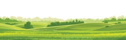 Arrière-plan Vectoriel Des Collines Rurales Sur Blanc. Pâturer L'herbe Pour Les Vaches. Les Prairies Et Les Arbres. Horizon.