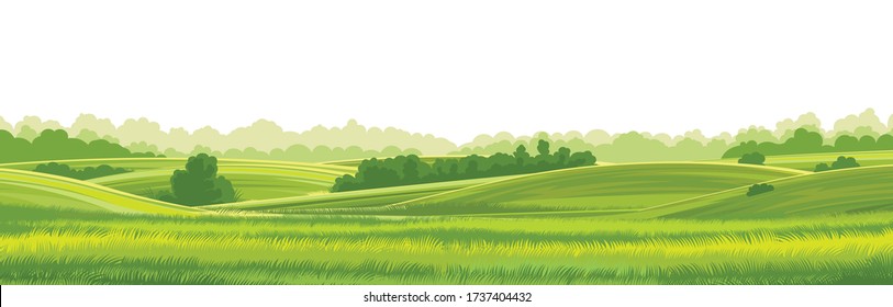 Rural hills  landscape vector background on white. Pasture grass for cows. Meadows and trees. Horizon. - Shutterstock ID 1737404432