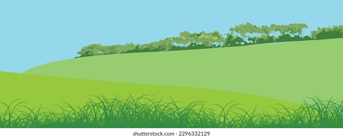 Rural hills landscape vector background on white. Pasture grass for cows. Meadows and trees. Horizon.
