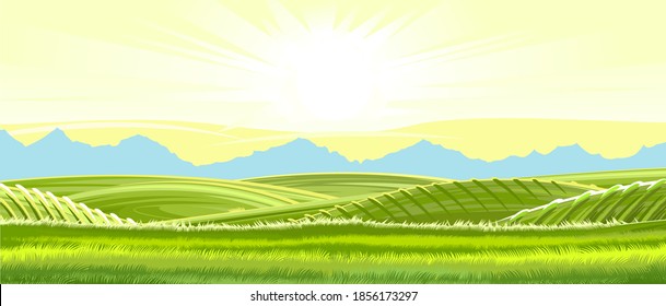 Rural hills. Rustic. Pasture grass for cows and a place for a vegetable garden and farm. Meadows and trees. The sun. Beautiful view. Summer. Vector