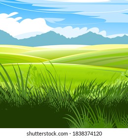 Rural hills. Scenery. Pasture grass for cows and a place for a vegetable garden and farm. Meadows and trees. Horizon. Beautiful view. Summer. Vector