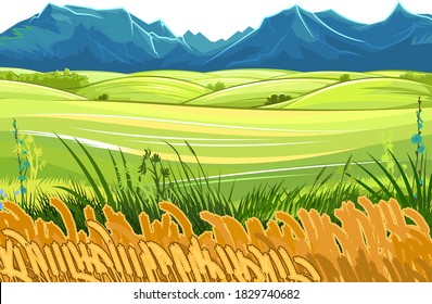 Rural hills. Scenery. Vector. Pasture grass for cows and a place for a vegetable garden and farm. Meadows and trees. Horizon. Beautiful view. Summer.