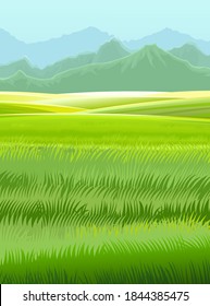Rural hills. Scenery. Vector. Pasture grass for cows and a place for a vegetable garden and farm. Meadows and trees. Horizon. Beautiful view. Summer.