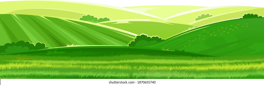 Rural hills Scenery. Vector. Pasture grass for cows and a place for a vegetable garden and farm. Meadows and trees. Horizon. Beautiful view. Summer.