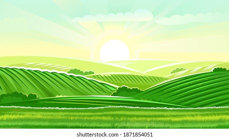 Colinas rurales. El paisaje. Vector. Pastura de pasto para vacas y un lugar para huerto y granja. Padres y árboles. Horizonte. Bonitas vistas. Verano.