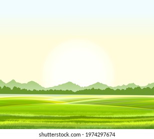 Rural hills. Scenery. Vector. Pasture grass for cows and a place for a vegetable garden and farm. Meadows and trees. Horizon. Beautiful view. Summer.