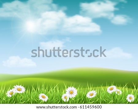 Similar – Image, Stock Photo The daisy meadow