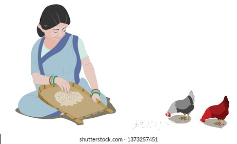 Rural Indian woman figure use a winnowing basket or winnowing-fan to clean the grain before cooking. Indian lady dressed in a traditional Saree,near hen 