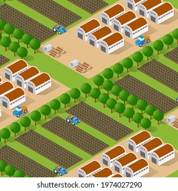 Rural isometric ranch farm with trees fields and garden bed of vegetables and flowers agriculture.