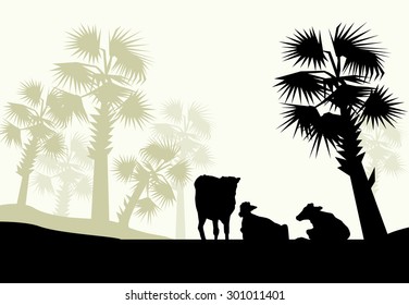Rural Landscape