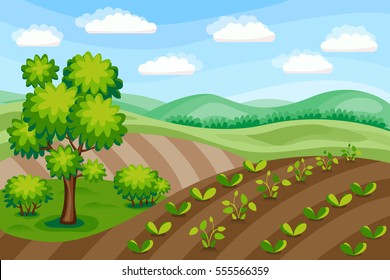 Rural landscape. Agriculture background