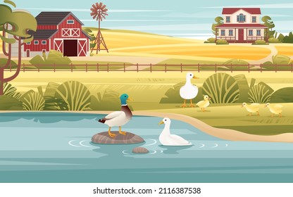 Rural landscape with agriculture buildings pond and duck animal sunny day agriculture farm field vector countryside background illustration