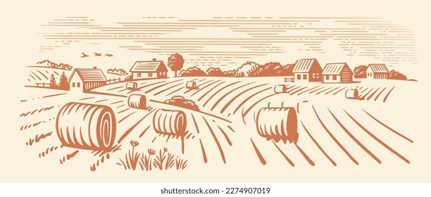 Rural landscape, agriculture farm vector. Harvesting