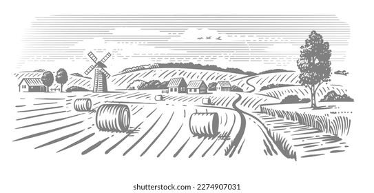 Rural landscape, agriculture farm vector. Harvesting