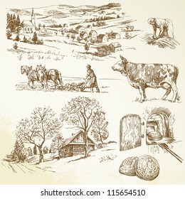 rural landscape  agriculture