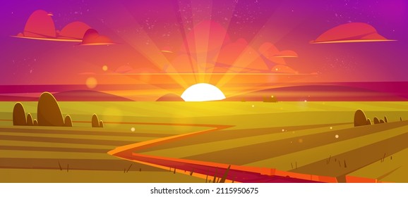 Rural landscape with agriculture fields at sunset. Vector cartoon illustration of countryside, farmland with green grass, trees, road and sun on horizon at evening