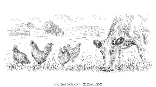 rural landscape with animals hand drawing sketch engraving illustration style