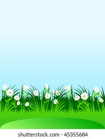 Rural landscape with blue sky, lawn and lots of white flowers. Vector