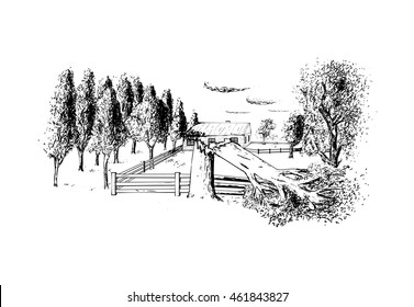 Rural landscape with broken tree